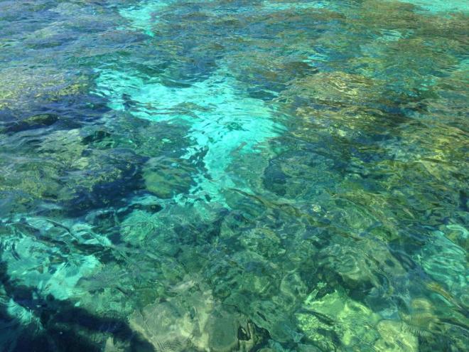 12512593_10208296656394701_230866921519066109_n