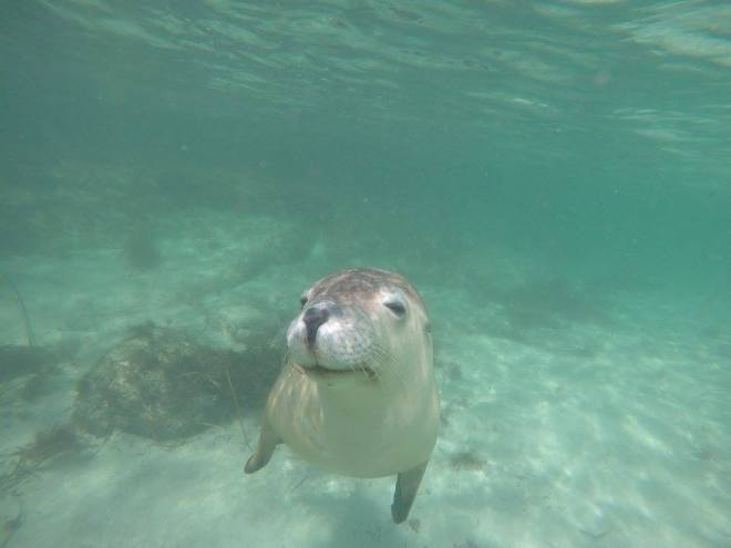 12440823_10208913099685398_1559586574327986535_o